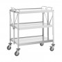 Chariot de Service Pliable en Inox - 635 x 400 mm
