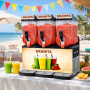 Machine à granita 3 x 15L professionnelle