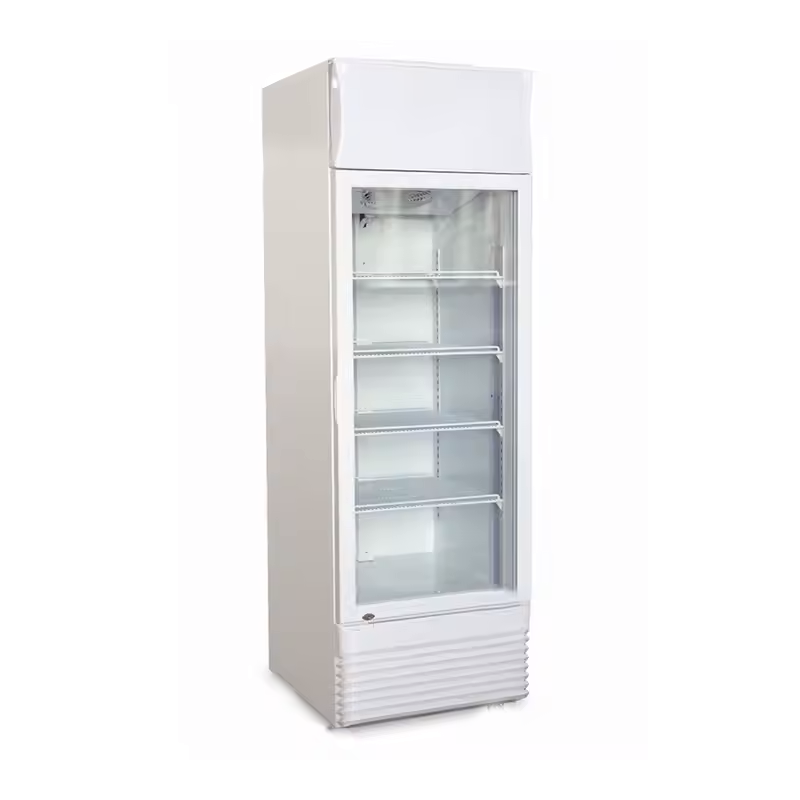 Armoire à boissons réfrigérée 350L noire ou blanche 1 porte à canopy