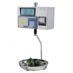 Balance poids prix Helmac GPE 6