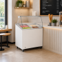 Vitrine à glace 4 bacs de 5 litres