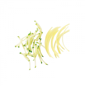 Disque bâtonnets Julienne 190mm 3x3mm réf 28101