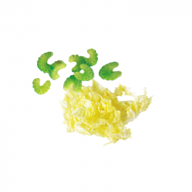 Disque éminceur 8 mm réf 28066