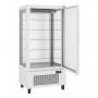 Vitrine négative 4 faces vitrées 475 litres blanche - Congélateur