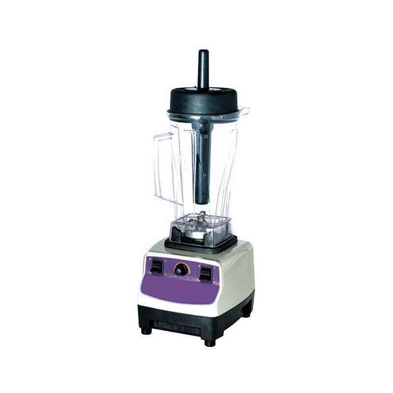 Blender 2L professionnel