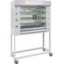 Rôtissoire professionnelle ROTISOL Performances Inox 4 broches