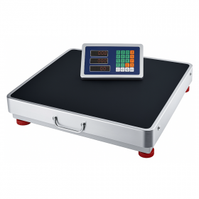 Balance modulaire WiFi 300 kg/100 g – Plateau 520 x 620 mm