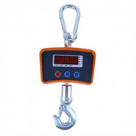 Crochet peseur de 1 à 5 tonnes