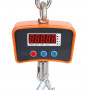Crochet peseur de 1 à 5 tonnes