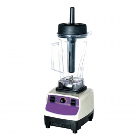 Blender 2L professionnel