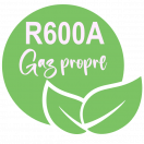 R600a